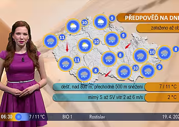 Teraza Pufferová
